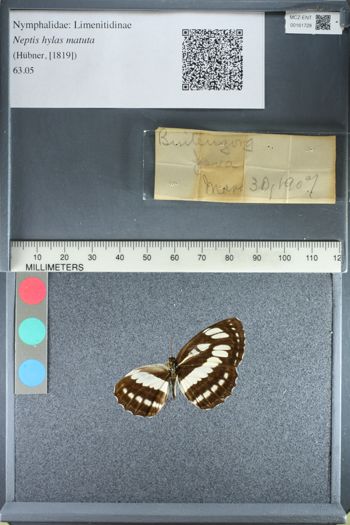 Media type: image;   Entomology 161728